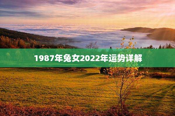 1987年兔女2022年运势详解