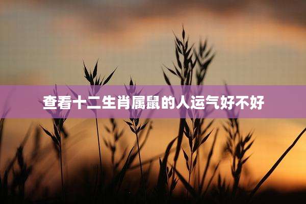 查看十二生肖属鼠的人运气好不好