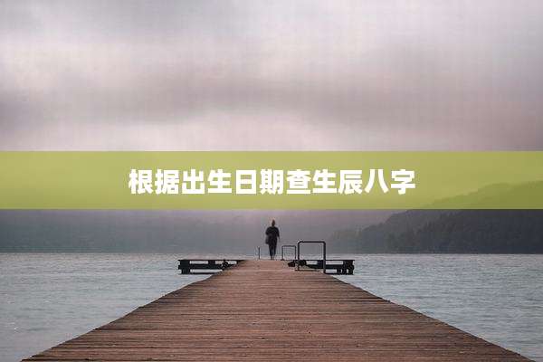 根据出生日期查生辰八字