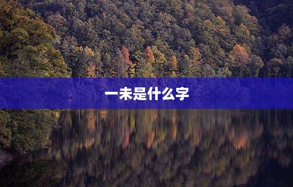 一未是什么字
