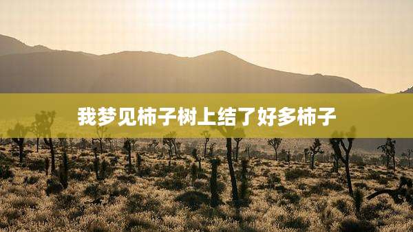 我梦见柿子树上结了好多柿子