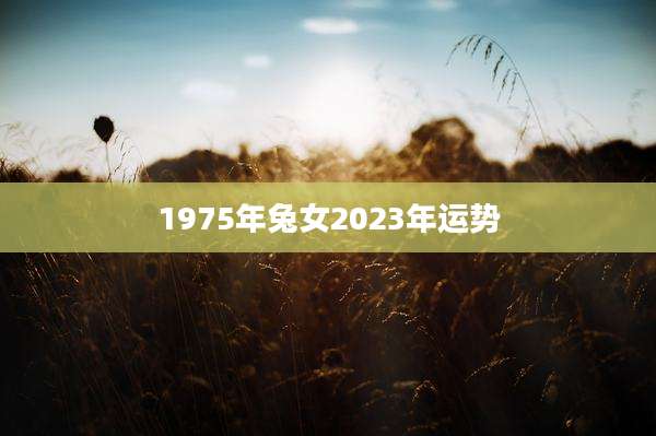 1975年兔女2023年运势