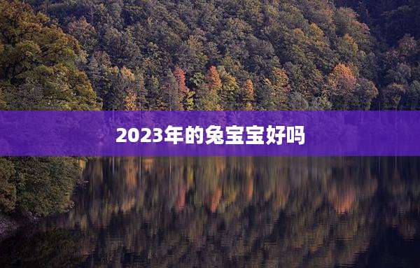 2023年的兔宝宝好吗