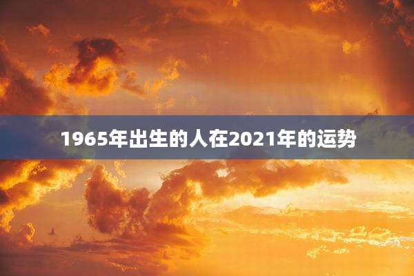 1965年出生的人在2021年的运势