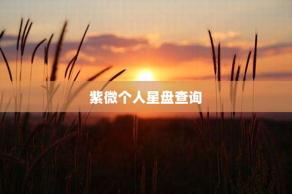 紫微个人星盘查询