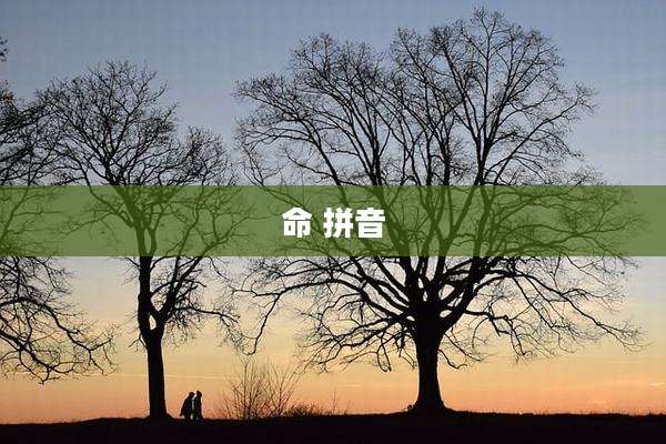 命 拼音