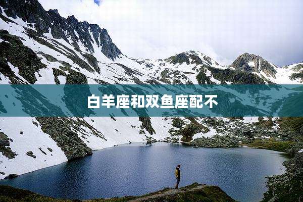 白羊座和双鱼座配不