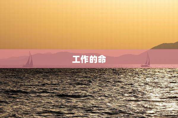 工作的命