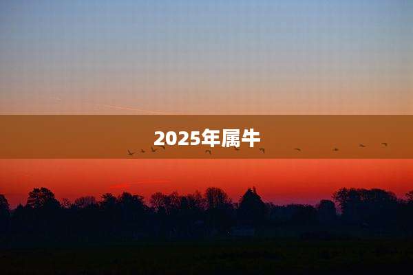 2025年属牛