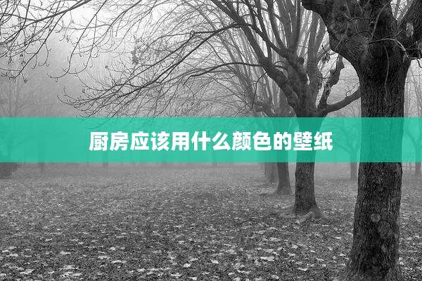 厨房应该用什么颜色的壁纸