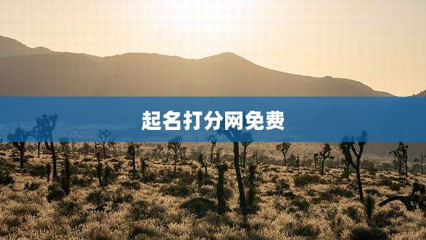 起名打分网免费