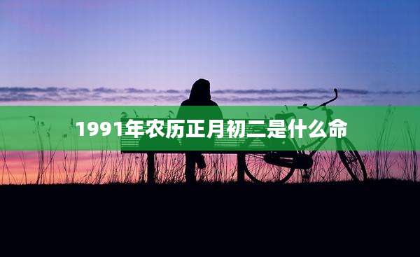1991年农历正月初二是什么命
