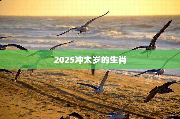 2025冲太岁的生肖