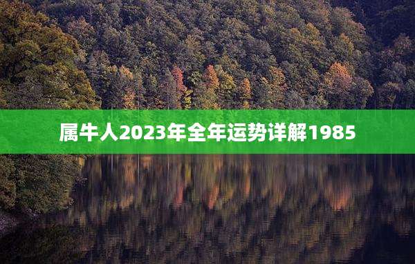 属牛人2023年全年运势详解1985