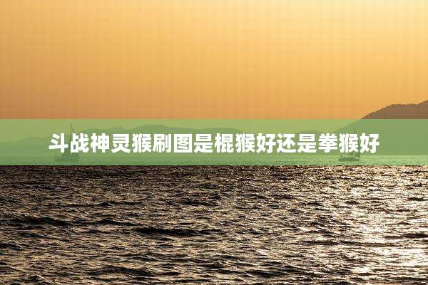 斗战神灵猴刷图是棍猴好还是拳猴好