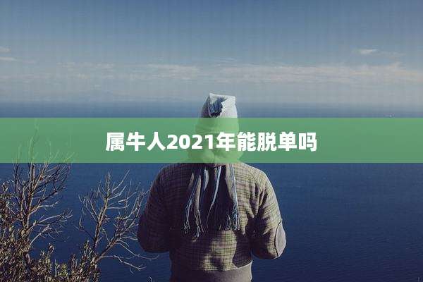 属牛人2021年能脱单吗