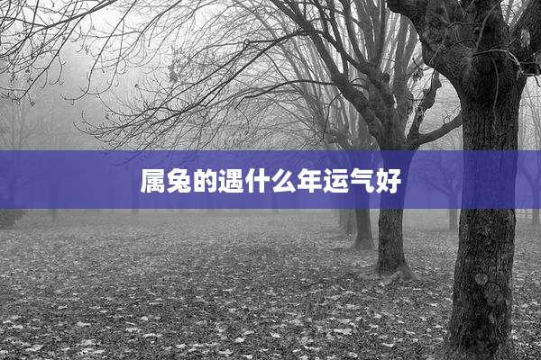 属兔的遇什么年运气好