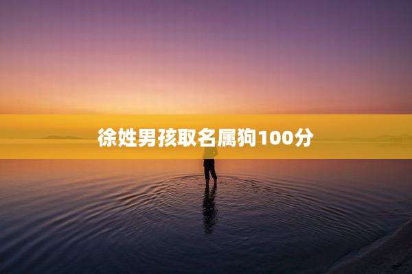徐姓男孩取名属狗100分