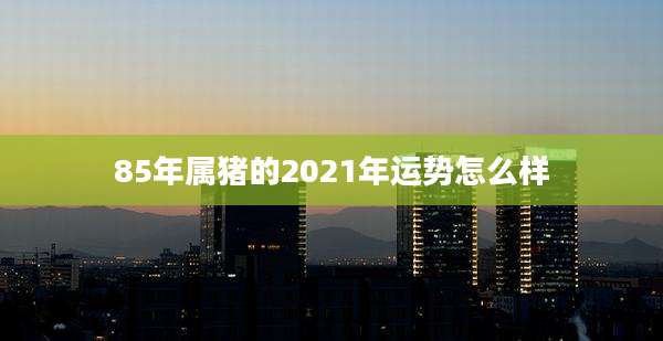85年属猪的2021年运势怎么样