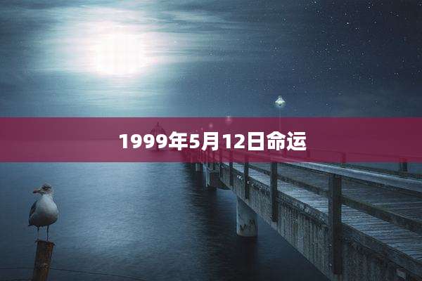 1999年5月12日命运