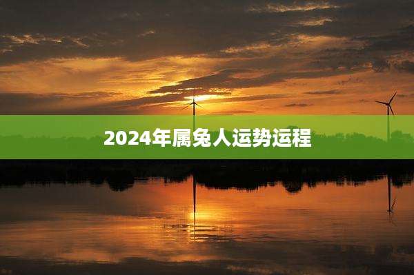 2024年属兔人运势运程