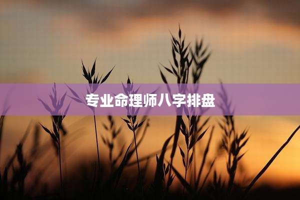 专业命理师八字排盘
