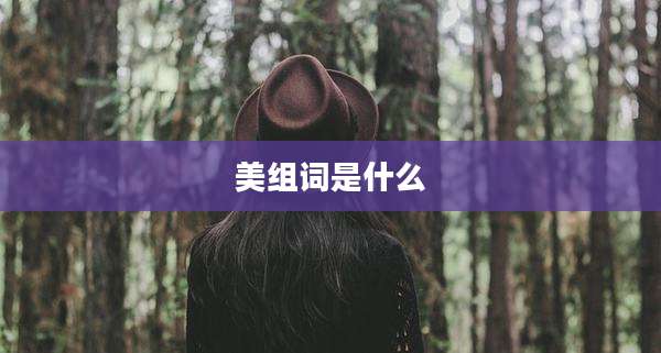 美组词是什么