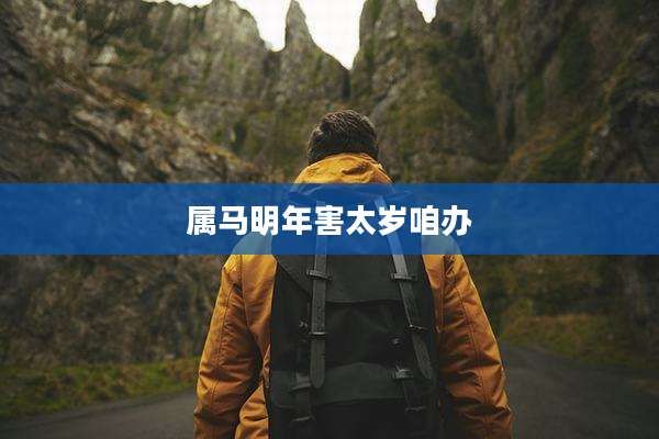 属马明年害太岁咱办