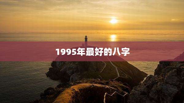 1995年最好的八字