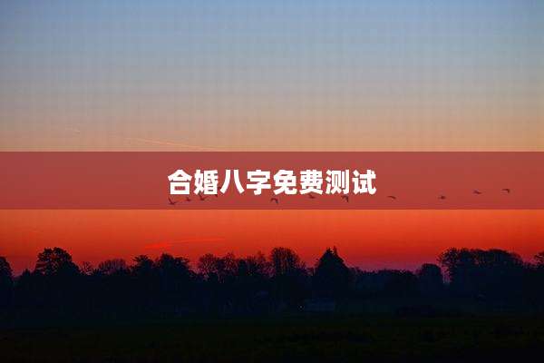 合婚八字免费测试