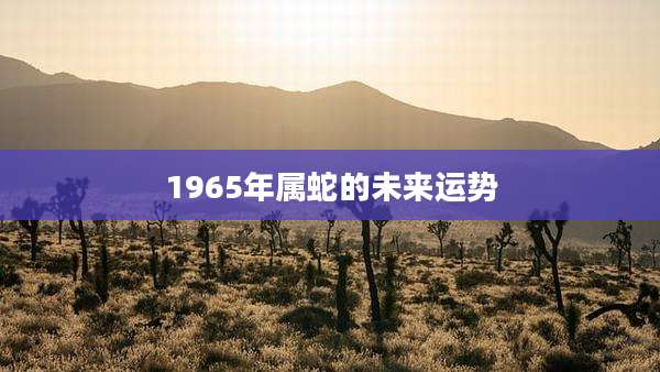 1965年属蛇的未来运势