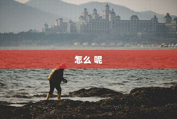 怎么 呢