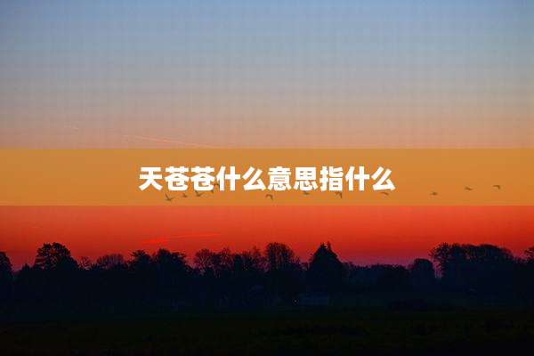 天苍苍什么意思指什么