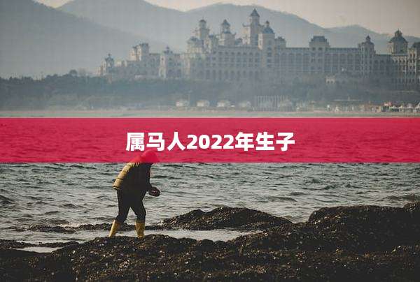 属马人2022年生子