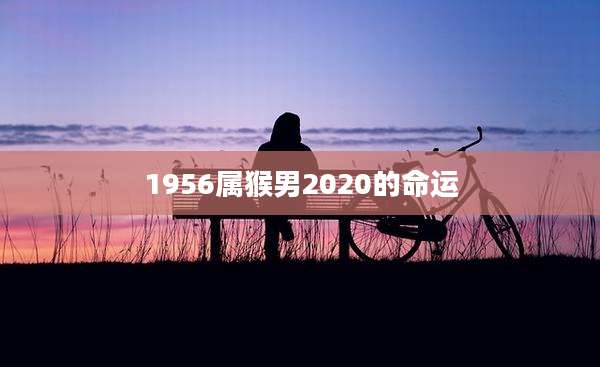 1956属猴男2020的命运