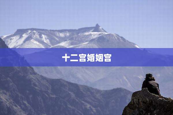 十二宫婚姻宫