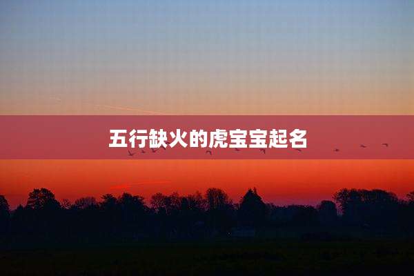 五行缺火的虎宝宝起名