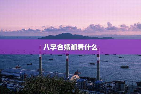 八字合婚都看什么