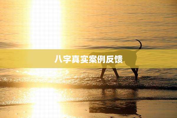 八字真实案例反馈