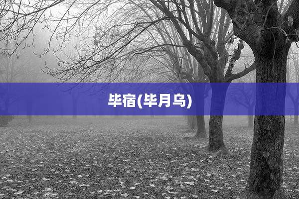 毕宿(毕月乌)