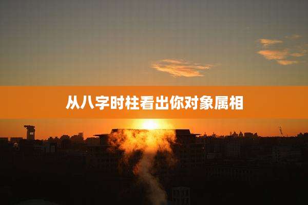 从八字时柱看出你对象属相