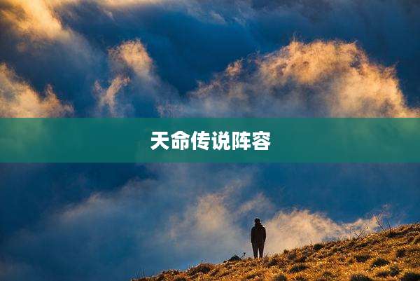 天命传说阵容