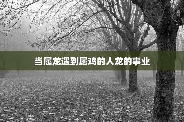 当属龙遇到属鸡的人龙的事业