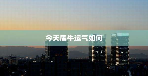 今天属牛运气如何