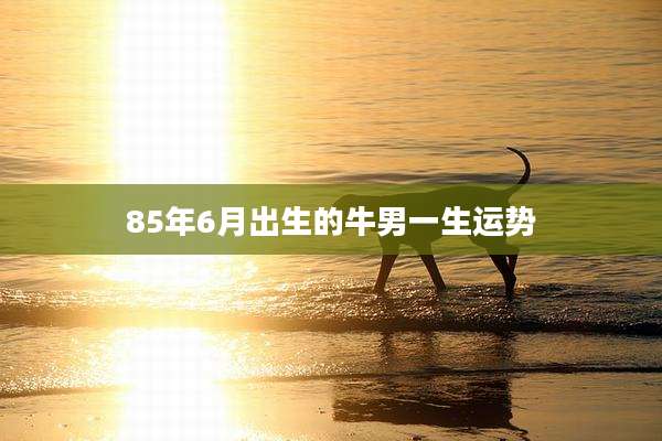 85年6月出生的牛男一生运势