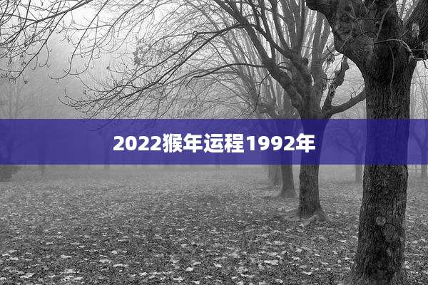 2022猴年运程1992年