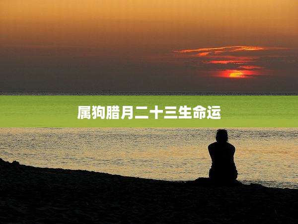 属狗腊月二十三生命运