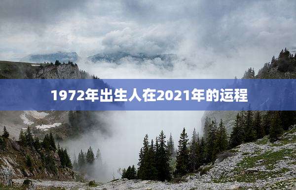 1972年出生人在2021年的运程