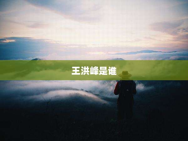 王洪峰是谁