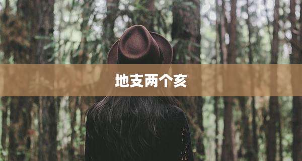 地支两个亥